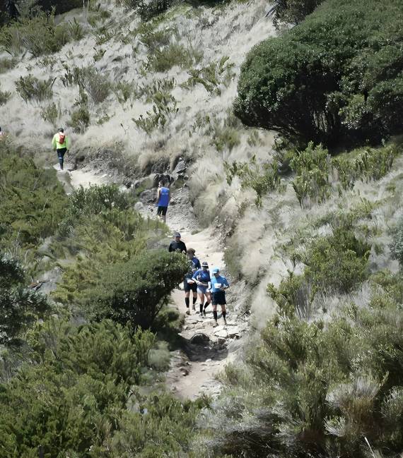 Corredores en sendero del parque vistos desde lejos