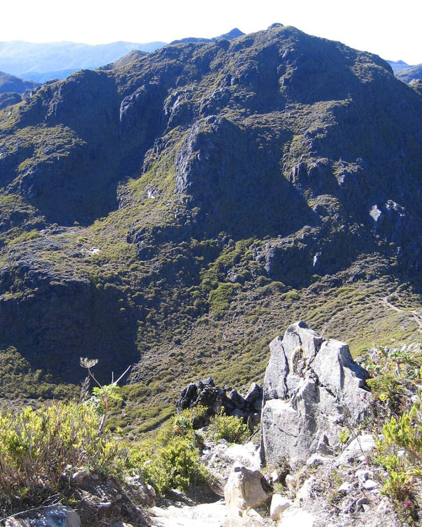 Vista de una montaña en el Parque Nacional Chirripó